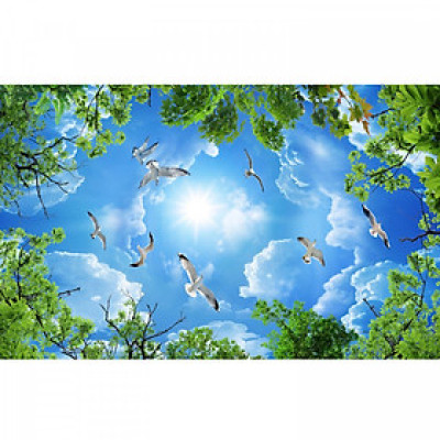 Tranh dán trần 3d bầu trời TN58