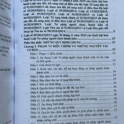 Sách Luật Tư Pháp Người Chưa Thành Niên 2025 – Hệ Thống Các Văn Bản Về Thủ Tục Tố Tụng Hình Sự Đối Với Người Chưa Thành Niên (V2640T)