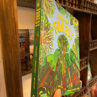 Sách - Pop-Up Forest by Tom Vaillant | Children Book in English / Ngoại văn Thiếu nhi Nhập khẩu