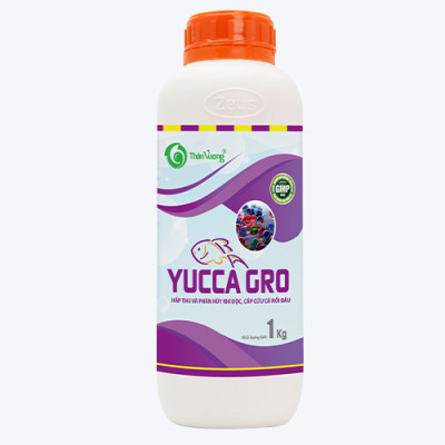 YUCCA GRO - Hấp thụ nhanh khí độc NH3, tránh hiện tượng cá nổi đầu