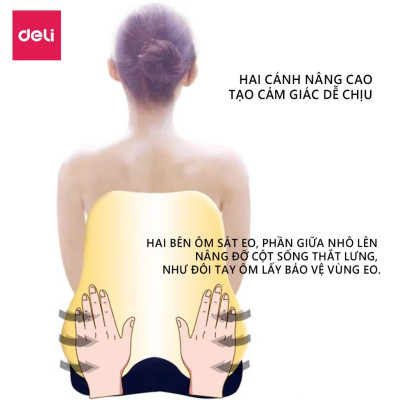 Combo Bộ gối tựa lưng và đệm lót ghế văn phòng DELI, giảm đau mỏi chống gù lưng, hỗ trợ phòng chống đau xương cụt, trĩ