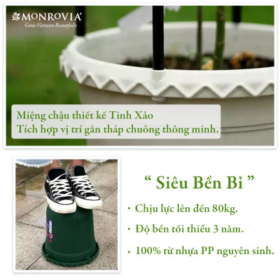 Chậu trồng cây Decor trang trí thương hiệu MONROVIA chuyên cho Hoa, hoa hồng, kèm đĩa lót thông minh, thiết kế tinh tế, tiêu chuẩn Châu Âu