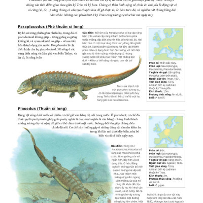 Sách - Bách Khoa Khủng Long Toàn Tập - Bìa Cứng