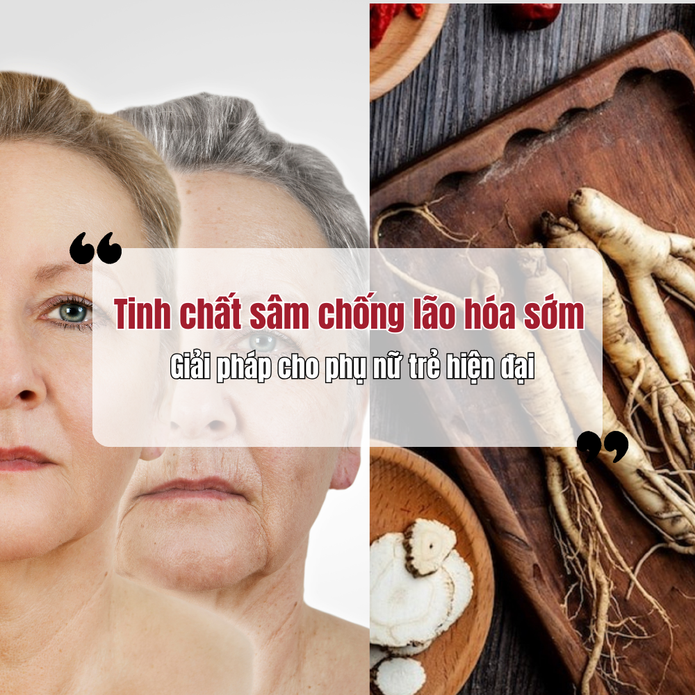 Tinh Chất Sâm Chống Lão Hóa Sớm – Giải Pháp Cho Phụ Nữ Trẻ Hiện Đại