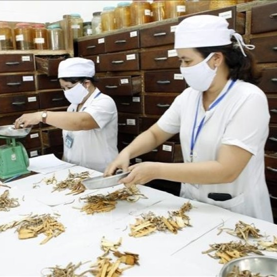Đa Dạng Hóa Dịch Vụ Và Sản Phẩm Y Học Cổ Truyền: Quyết Định Quan Trọng Phát Triển Y Học Cổ Truyền Việt Nam Giai Đoạn Mới