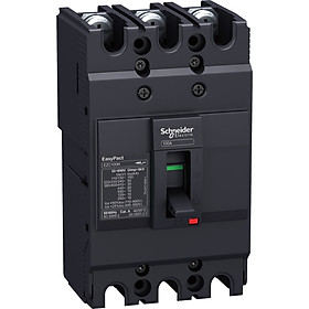 Cầu dao EZC100N3060 Schneider