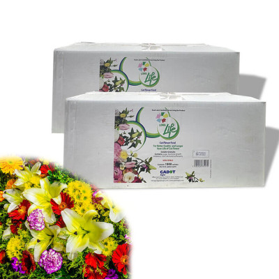 Giá Sỉ Thuốc dưỡng hoa Longlife Gói 5gr (1 thùng 1.000 gói) Hiệu LongLife Israel là bí quyết giúp hoa cắm bình lâu tàn và 14 ngày không thay nước mới tại vưa sỉ hoa