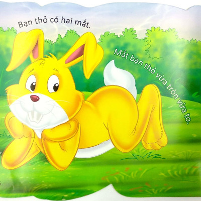 Cùng Bé Yêu Khám Phá Rừng Xanh - Chúng Mình Đã Biết Gì Về Loài Thỏ