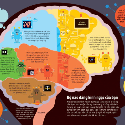 Tớ Yêu Khoa Học - The Adventure Of Your Brain - Chuyến Phiêu Lưu Của Bộ Não - Bìa Cứng