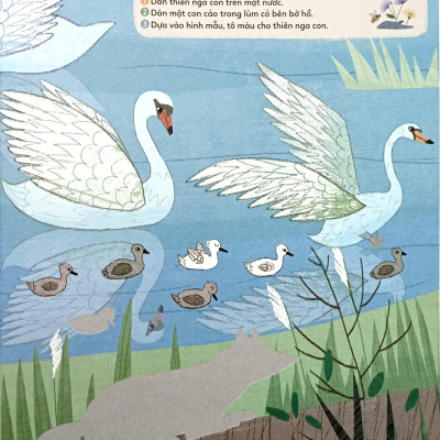 Sticker Bước Vào Thế Giới Thiên Nhiên Kỳ Thú - Tập 2 - Muôn Vàn Các Loài Chim