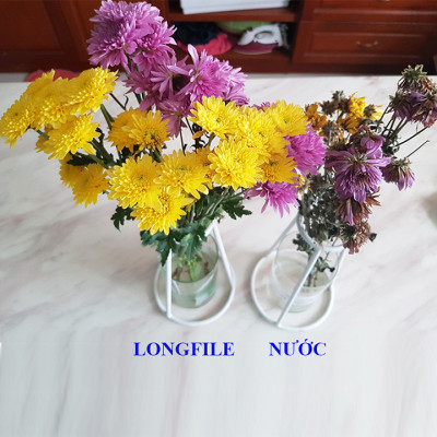 NƯỚC CẮM HOA HỒNG LÂU TÀN (1 LÍT TOG) nhập khẩu ISAREL dành cho Nhà Vườn Trồng Hoa Grower bảo quản hoa