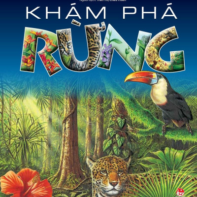 Khám Phá Rừng (Tái Bản 2022)