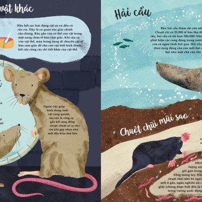 Sách Thiếu Nhi | Bảy Giác Quan Phi Thường | Cathy Evans | San Hô Books