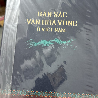 Bản Sắc Văn Hoá Vùng Ở Việt Nam - GS.TS. Ngô Đức Thịnh (bìa mềm)