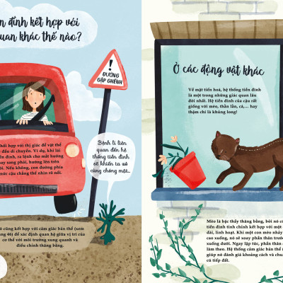 Sách Thiếu Nhi | Bảy Giác Quan Phi Thường | Cathy Evans | San Hô Books