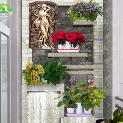 Combo 2 Bộ Chậu Tự Dưỡng Trồng Rau sạch, Trồng Cây Xanh Để Bàn Basic S & UNO nhập khẩu Bồ Đào Nha dành cho người yêu rau và cây tại nhà 