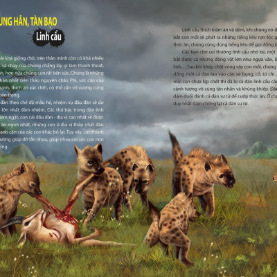 Khám Phá Thế Giới Động Vật Kì Thú : Thế Giới Của Những Loài Động Vật Sát Thủ