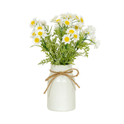 Chậu Cây Cúc Vàng LENA Với Bình Gốm Trang Trí Nhà Cửa | Index Living Mall | Nội Thất Nhập Khẩu Thái Lan - Phân Phối Độc Quyền Tại Việt Nam