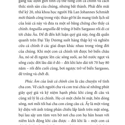 Phúc Âm Của Loài Cá Chình