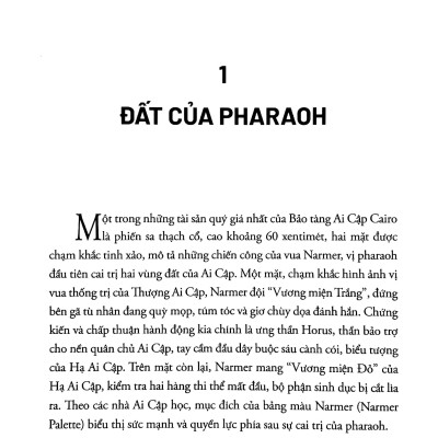 Phi Châu Thịnh Vượng - Lịch Sử 5.000 Năm Của Sự Giàu Có, Tham Vọng Và Nỗ Lực