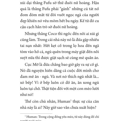 Sách - Những Con Mèo Sau Bức Tường Hoa