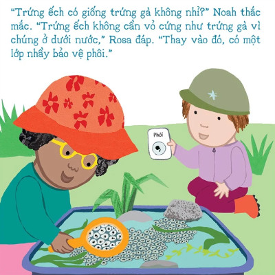 Thí Nghiệm Vui Cùng Rosa - Vòng Đời Của Ếch