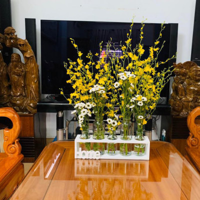 Dung Dịch Cắm Hoa Lan Vũ Nữ Lâu Tàn dạng bột của Israel (Combo 100 gói) giúp hoa lan nở đến nụ cuối cùng và hạn chế đen gốc hoa