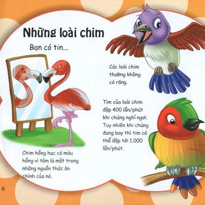 Những Điều Kỳ Thú - Kiến Thức Thú Vị