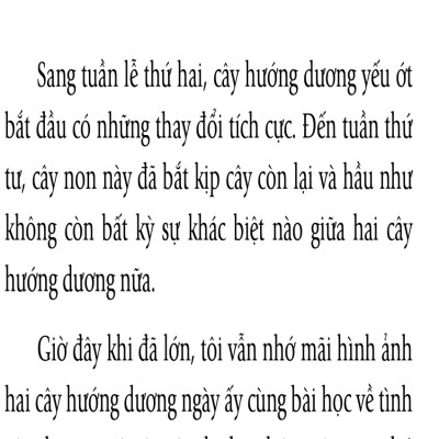 Hạt Giống Tâm Hồn - Chắp Cánh Tuổi Thơ _FN