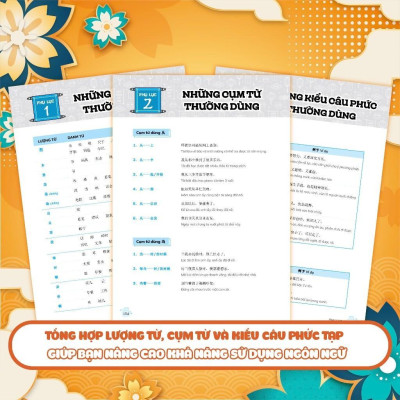 Sách - Chinh Phục Ngữ Pháp Tiếng Trung Quốc - Trình Độ Sơ - Trung Cấp - Megabook