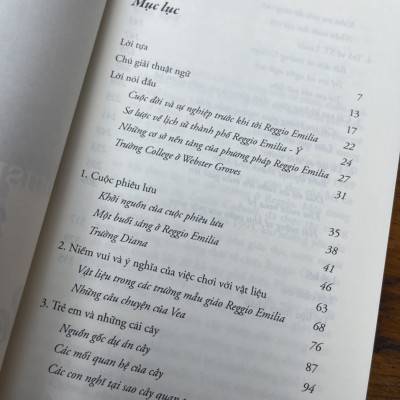 (Tái bản đổi bìa 2023) PHƯƠNG PHÁP GIÁO DỤC REGGIO EMILIA – Louise Boyd Cadwell – Nguyễn Hà An dịch – Thái Hà – NXB Lao động