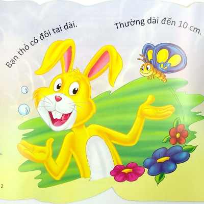 Cùng Bé Yêu Khám Phá Rừng Xanh - Chúng Mình Đã Biết Gì Về Loài Thỏ