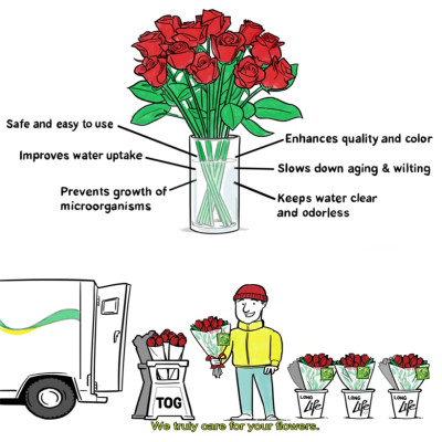 NƯỚC CẮM HOA HỒNG LÂU TÀN (1 LÍT TOG) nhập khẩu ISAREL dành cho Nhà Vườn Trồng Hoa Grower bảo quản hoa
