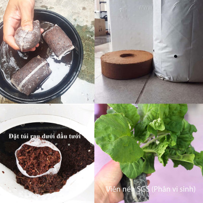 08 Chậu trồng rau thông minh Không thay đất Vertical (Màu Xanh) có tưới nhỏ giọt và bón phân Bán tự động nhập khẩu Bồ Đào Nha ( dành khu vực Không có vòi cấp)