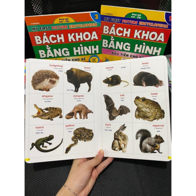 Bách Khoa Bằng Hình Đầu Tiên Cho Bé Theo Chủ Đề : Animals Quyển 2 - Song ngữ Anh Việt - Quét mã QR nghe đọc