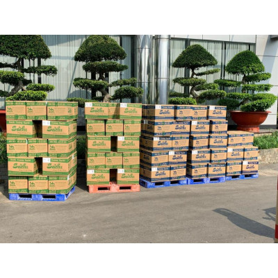 Thùng 50 Gói Loại 45Gram, Bánh Tráng Rong Biển Cao Cấp Nướng Sẵn Sachi