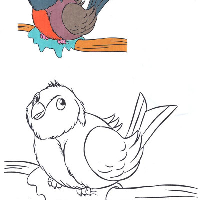 Tô Màu Thật Thú Vị - Các Loài Chim