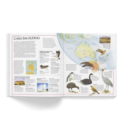 Sách - Atlas Các Loài Chim - Đông A