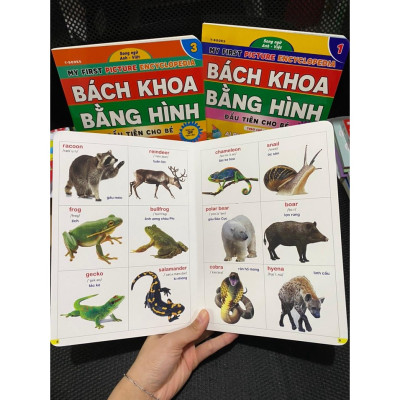Bách Khoa Bằng Hình Đầu Tiên Cho Bé Theo Chủ Đề : Animals Quyển 2 - Song ngữ Anh Việt - Quét mã QR nghe đọc