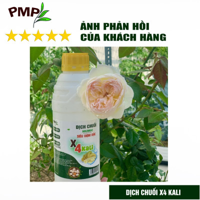 Combo 2 Chai Dịch Chuối Humic PMP Vi Sinh Chuyên Dùng Cho Hoa Hồng, Rau Sạch 1L/Chai