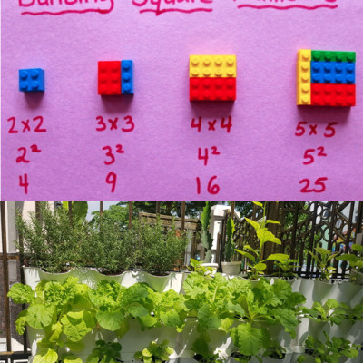 Khung Module Rau Ban Công (1M2 xếp ngang Có Tưới Nhỏ giọt bán tự động) dạng Đứng VerticalMinigarden nhập khẩu Bồ Đào Nha với 8 chậu kèm 2 Tray hứng nước và bộ dây tưới nhỏ giọt lắp sẵn