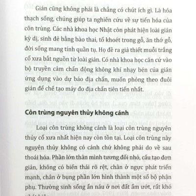 Tri Thức Bách Khoa - Côn Trùng - Động Vật - Con Người - Thực Vật
