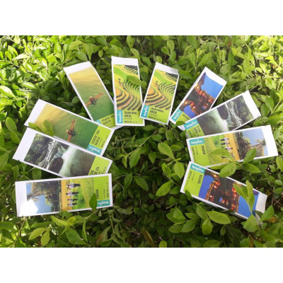 Vietnam Delights 5 Green Tea (Trà Xanh Vietnam Delights 5)