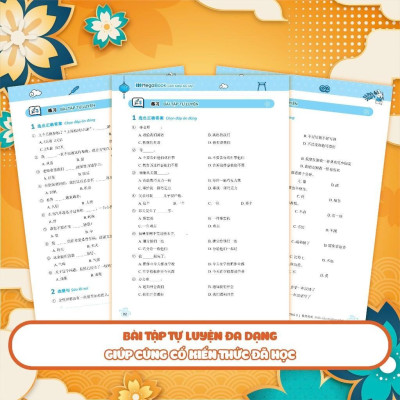 Sách - Chinh Phục Ngữ Pháp Tiếng Trung Quốc - Trình Độ Sơ - Trung Cấp - Megabook