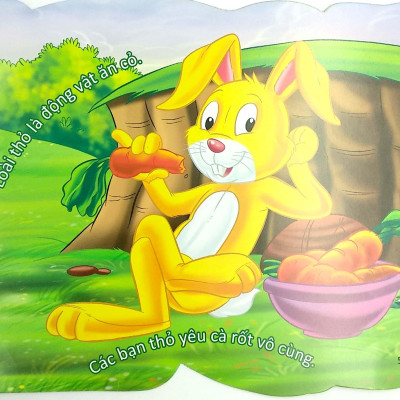 Cùng Bé Yêu Khám Phá Rừng Xanh - Chúng Mình Đã Biết Gì Về Loài Thỏ