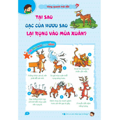 10 Vạn Câu Hỏi Vì Sao Hỏi Đáp Khoa Học - Vòng Quanh Trái Đất (Tái Bản 2020)