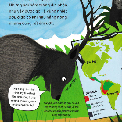 	Những Câu Hỏi Tò Mò Và Giải Đáp Thú Vị Về Rừng Mưa _HH