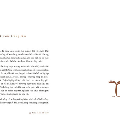 39 Đoản Thiền Để Thấy - Những Câu Chuyện Chữa Lành