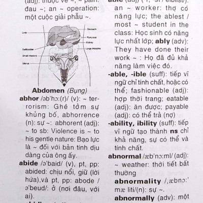 Từ Điển Anh - Việt Dành Cho Mọi Đối Tượng (85.000 Từ)