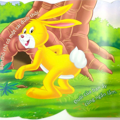 Cùng Bé Yêu Khám Phá Rừng Xanh - Chúng Mình Đã Biết Gì Về Loài Thỏ